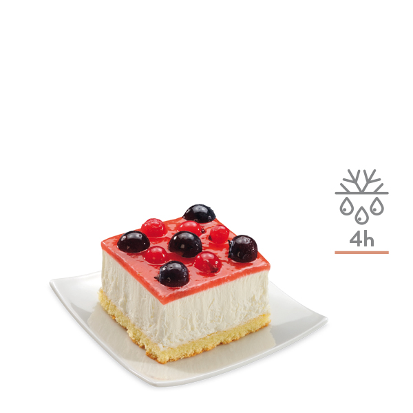 quadrotti_frutti_di_bosco_48g