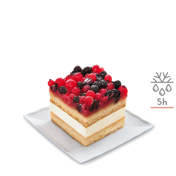 quadrotti_frutti_di_bosco_90g