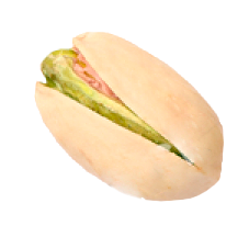 pistacchio